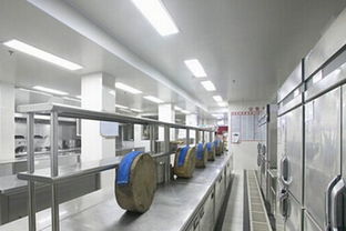 节能环保引领革新 厨房设备行业如何以绿色战略赢取竞争优势