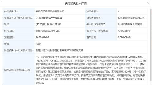 呆萝卜关联公司被列为失信被执行人 商业咨询服务的警示与反思