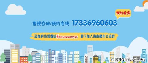 三亚陵水 教育与商业医疗配套完善，商务信息咨询助力发展