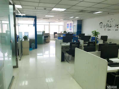 内蒙古鑫淼商务信息咨询 助力企业决策的可靠伙伴